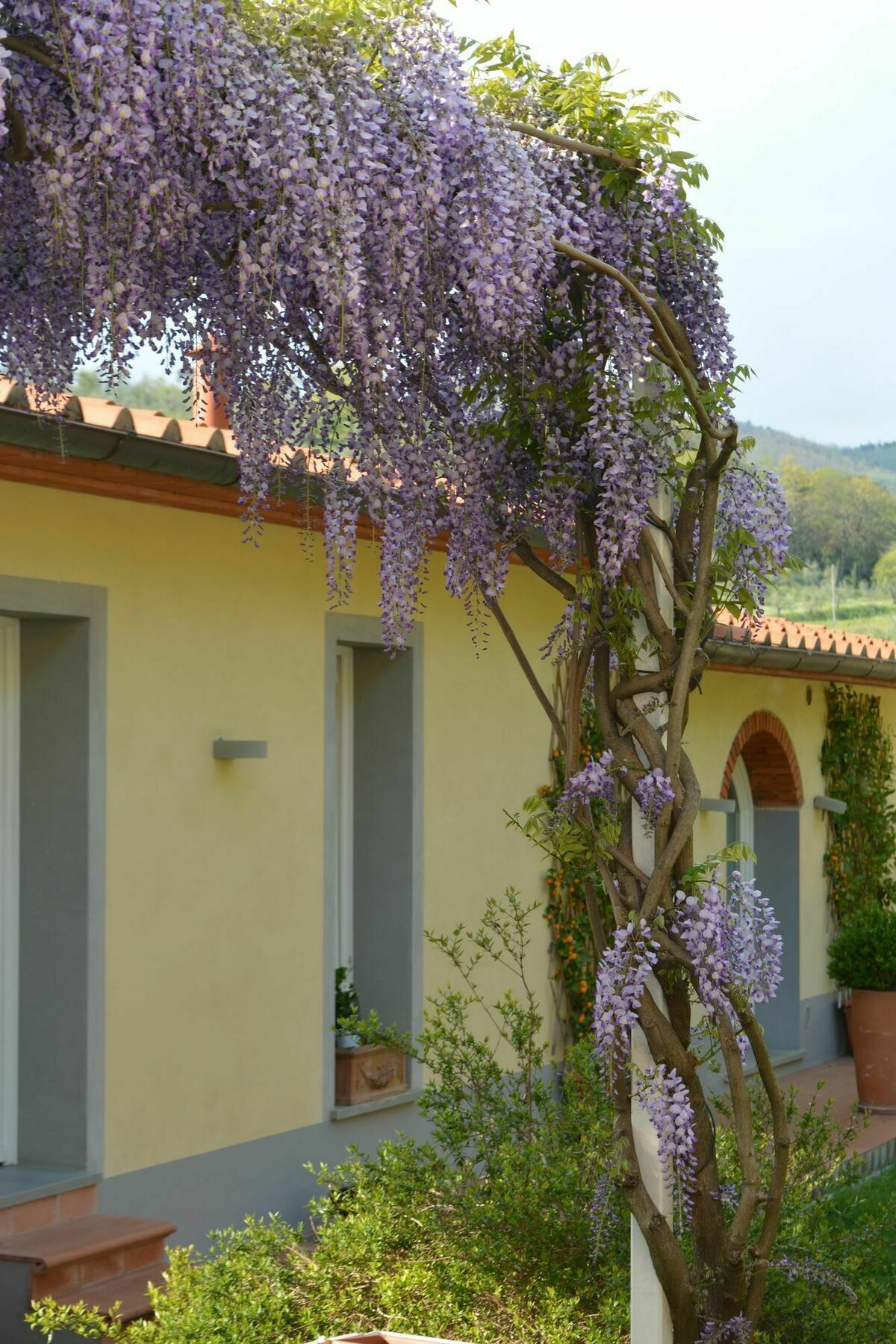 Podere Delle Fanciulle Pistoya Exterior foto