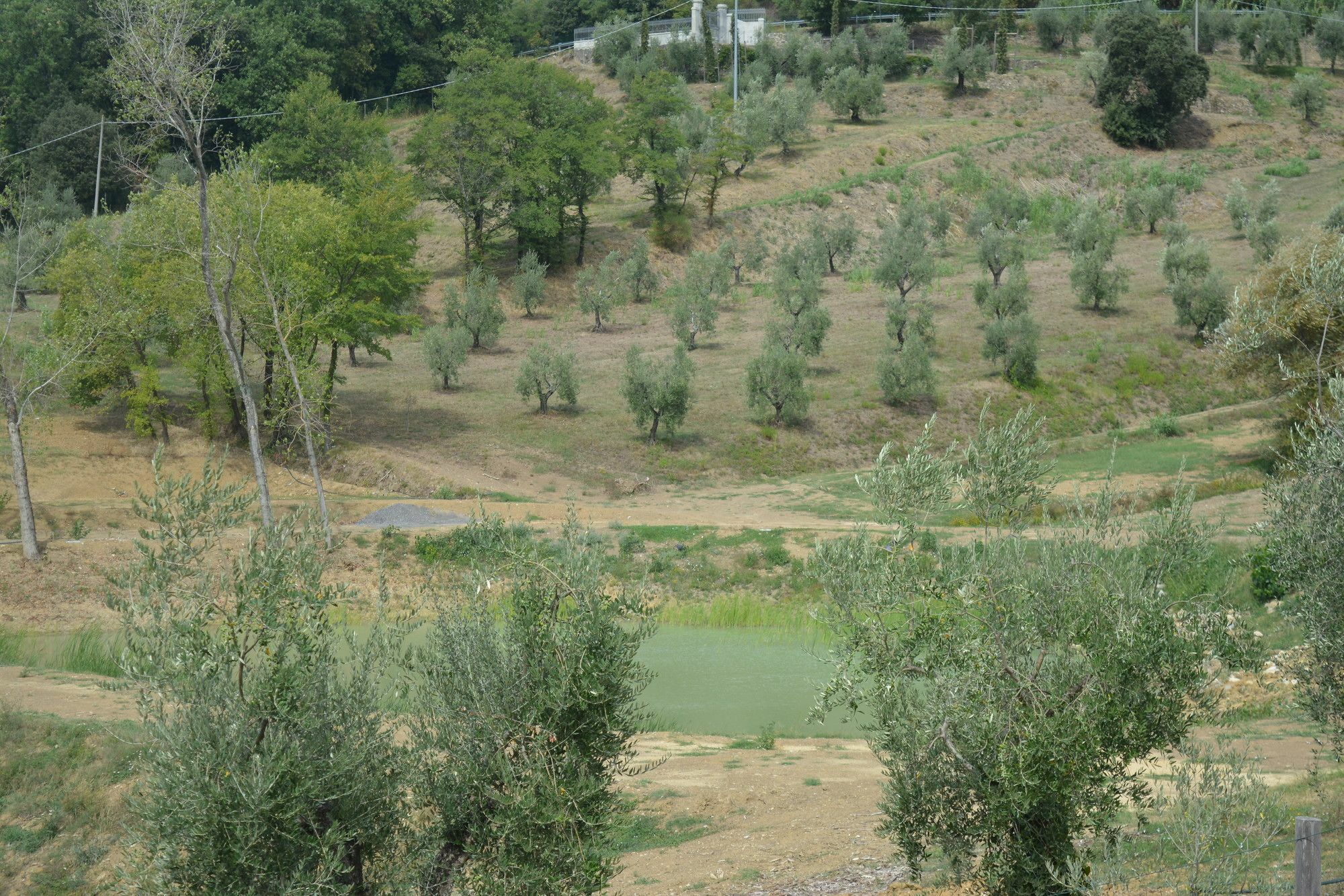 Podere Delle Fanciulle Pistoya Exterior foto